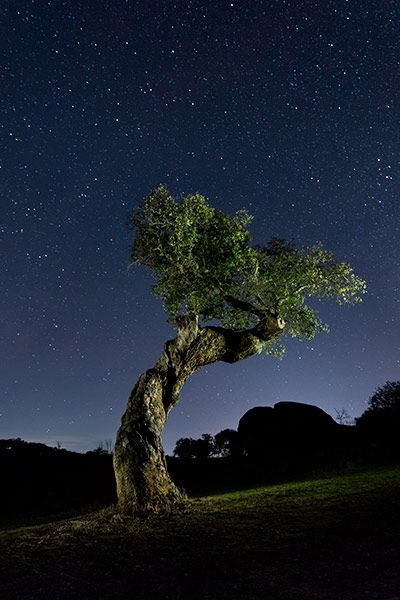 Cielos estrellados en España