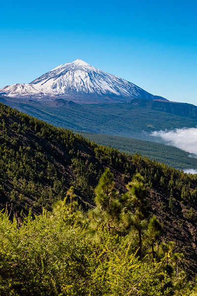 Parque Nacional del Teide Parque Nacional del Teide