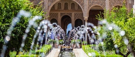 Détail des jardins du Généralife de l'Alhambra de Grenade