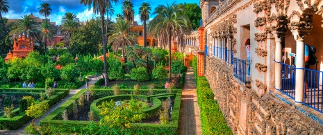 Jardins de l'alcazar royal de Séville
