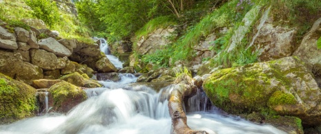 Salto d'acqua del fiume Pino nelle Asturie.