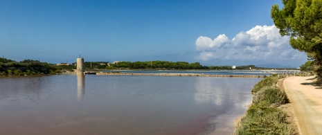 Veduta dell'Estany Pudent nel Parco Naturale di Ses Salines a Formentera, Isole Baleari