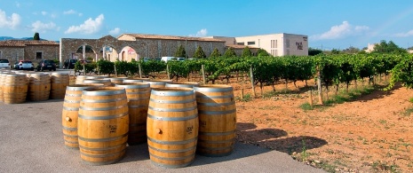 Bodegas de vino de Denominación de Origen de Binissalem, Mallorca