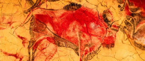 Détail d'un bison dans la grotte d'Altamira, à Santillana del Mar, Cantabrie