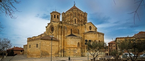  Collegiate Church of Santa María. toro (Bull). Zamora