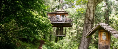 Casa sull'albero nelle foreste di Sant Hilari Sacalm a Girona, in Catalogna