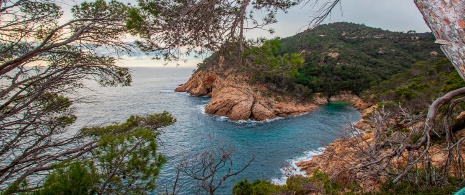 Cala Pola en Tossa del Mar, Girona