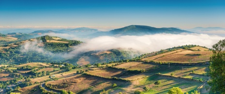 Vista del mare di nuvole nella zona di O'Cebreiro a Lugo, Galizia