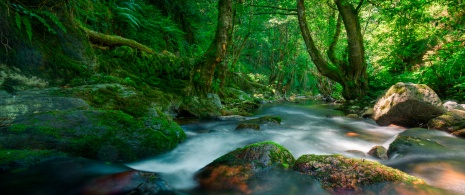 Détail de la rivière dans la Sierra d'O Courel à Lugo, Galice