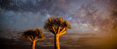 Visión de estrellas y vía láctea en La Palma, Gran Canarias