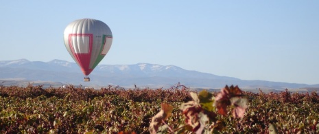 Mongolfiera che sorvola i vigneti della Rioja