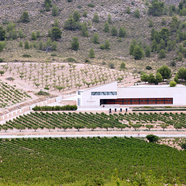 Bodega Sierra Salinas Bodega Sierra Salinas