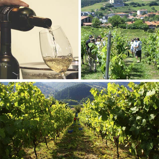Visit Txakoli wineries Visit Txakoli wineries