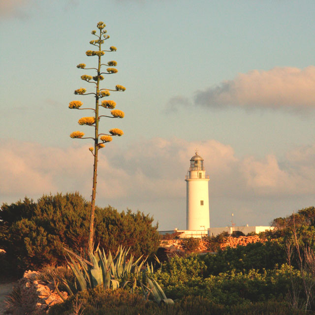La Mola lighthouse La Mola lighthouse