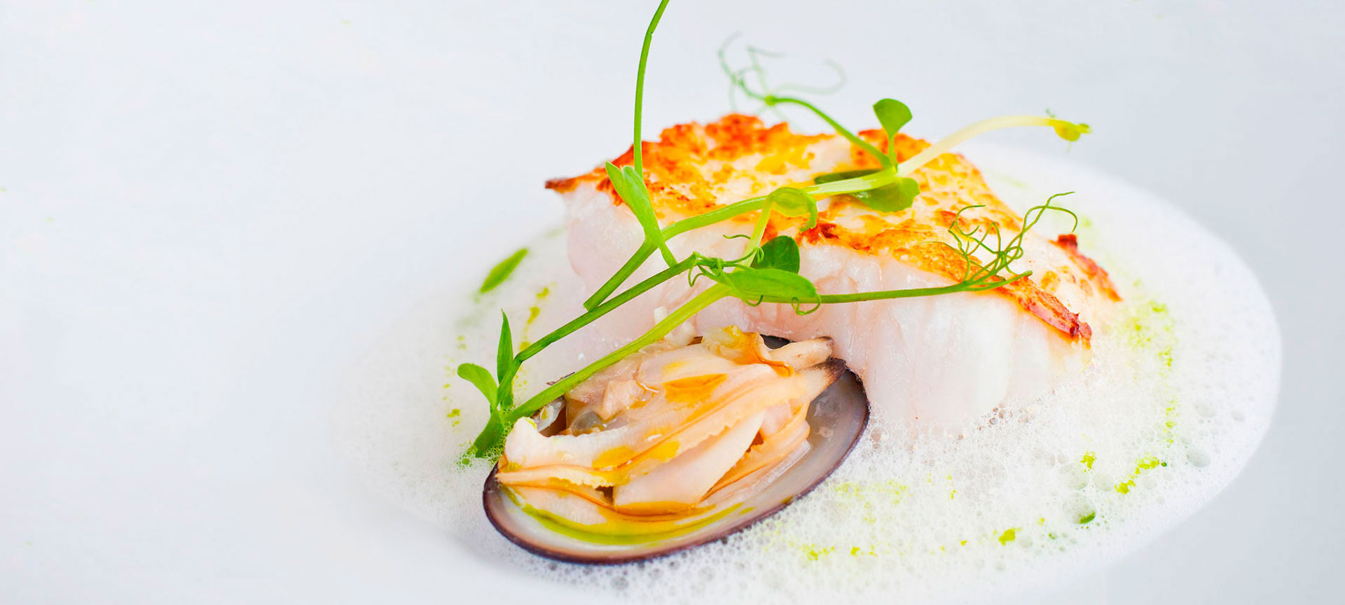 Plato de diseño: pescado blanco y marisco Plato de diseño: pescado blanco y marisco