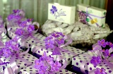 Negozio La Violeta, Madrid