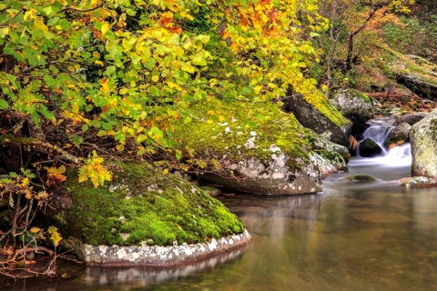 Paesaggio autunnale nella Valle dell'Ambroz, Estremadura