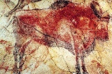Pittura di bisonte nella Grotta di Altamira, Santillana del Mar