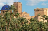 Palmeto di Elche