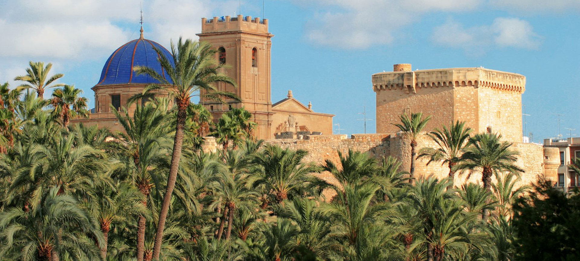 Palmeral de Elche Palmeral de Elche