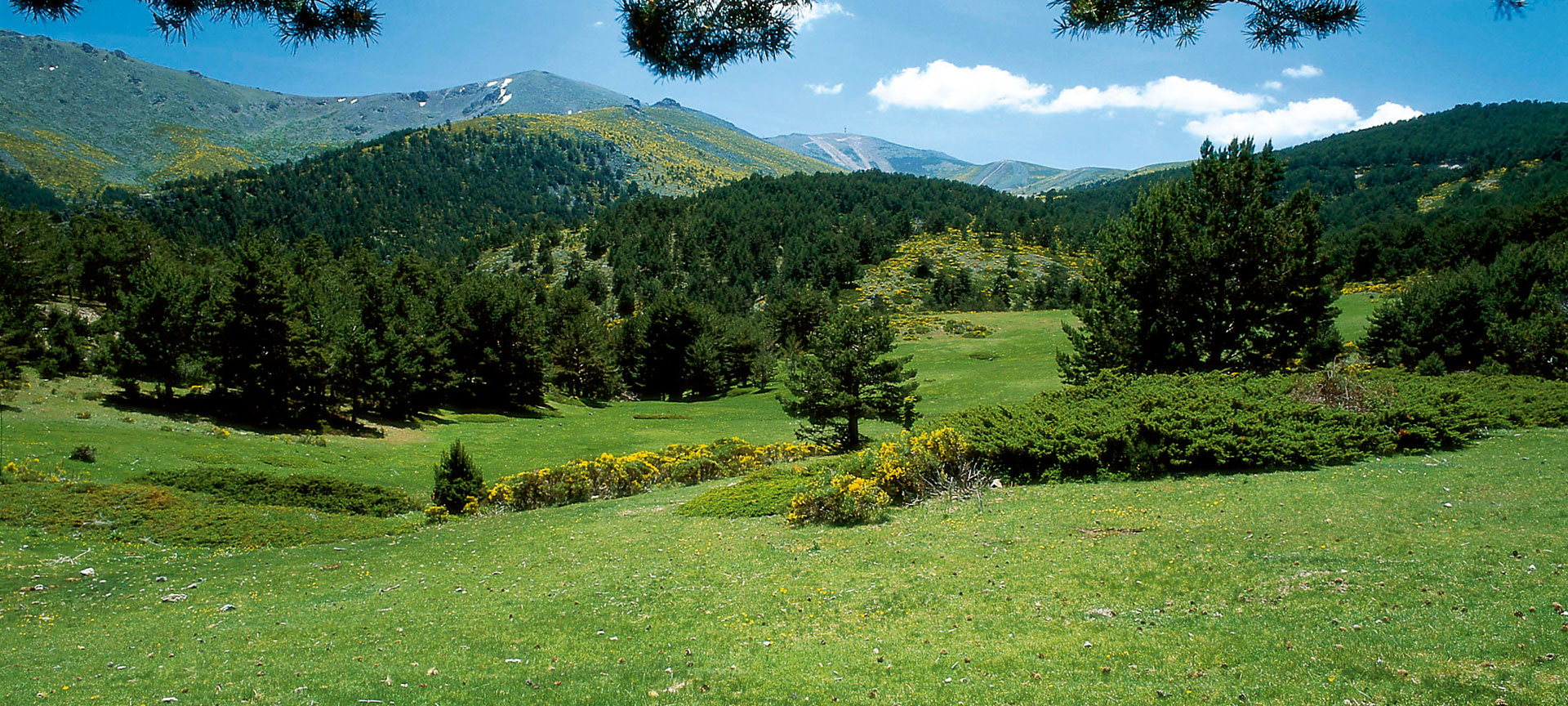 Parque natural de la Cumbre, el Circo y las Lagunas de Peñalara Parque natural de la Cumbre, el Circo y las Lagunas de Peñalara