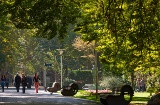 Parco della Florida