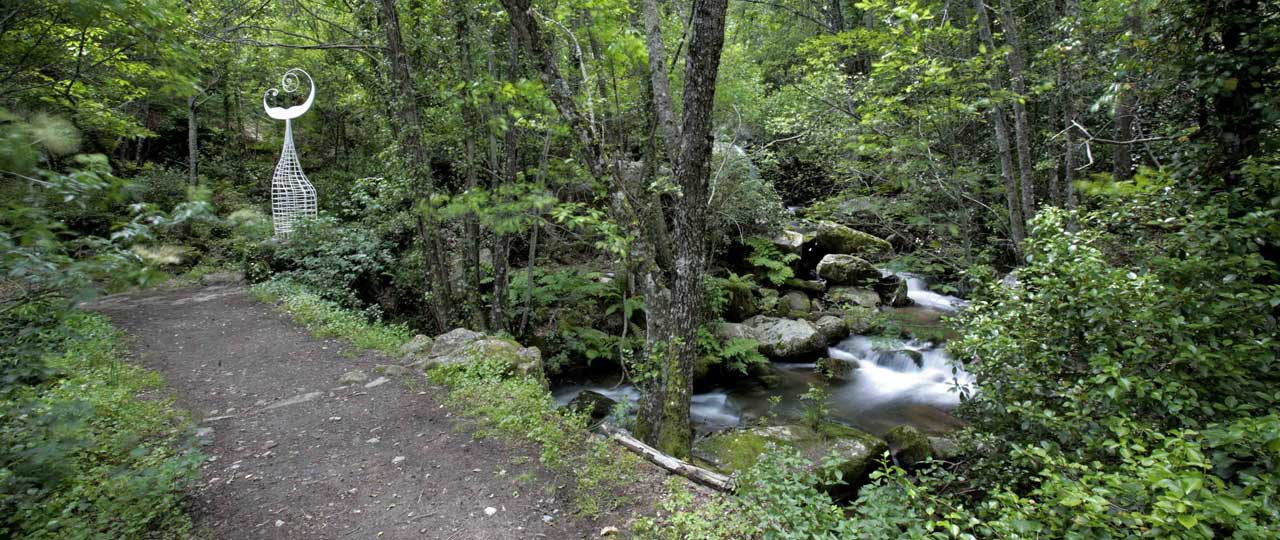 Bosque con una escultura de la cola de una sirena Bosque con una escultura de la cola de una sirena
