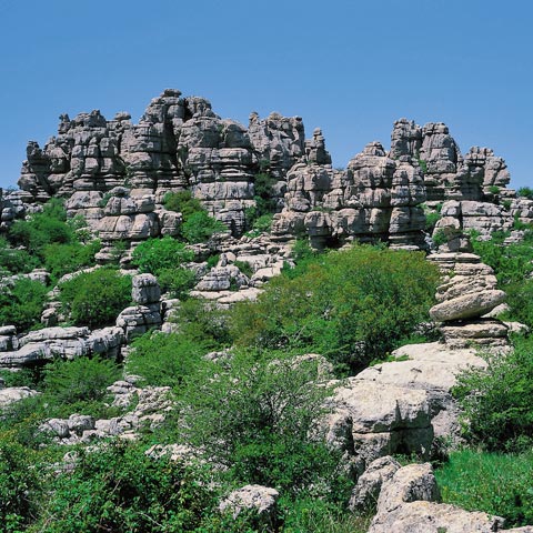 Paraje natural Torcal de Antequera Paraje natural Torcal de Antequera