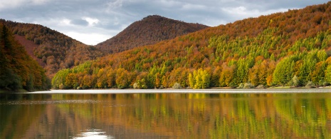 Bacino idrico Irabia nella Foresta di Irati, Navarra